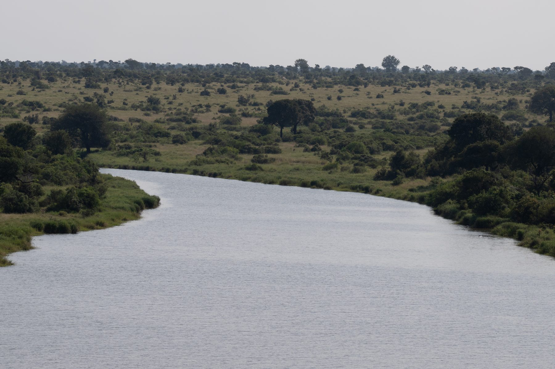 River winding through the bushveld in the Kruger National Park, photographed by Mandy Papenfus